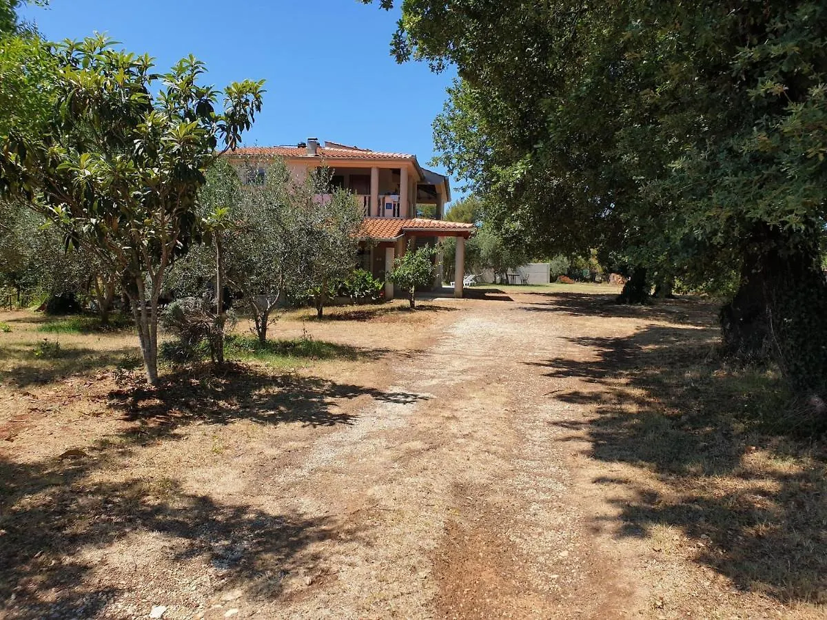 Apartment In Holiday Home With Private Pool Banjole Croatia